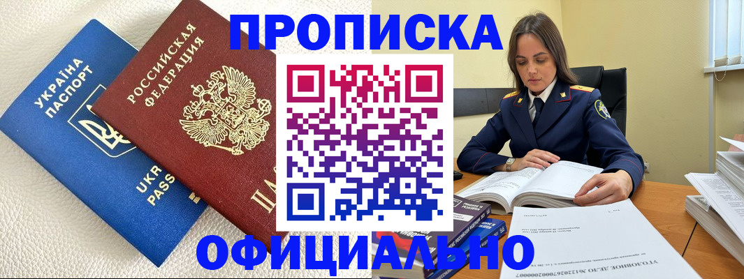 прописка поиск в Клинцах